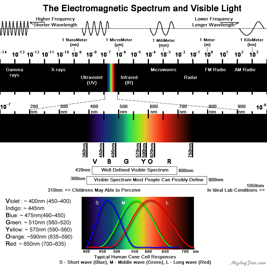 电磁谱和人体锥对可见光的响应